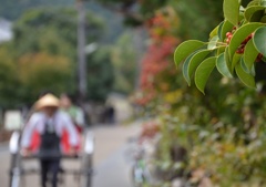 嵯峨野