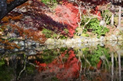 鏡紅水