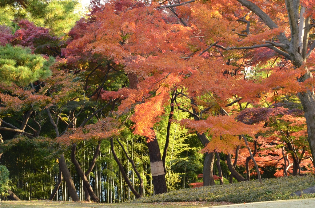 殿ケ谷下公園