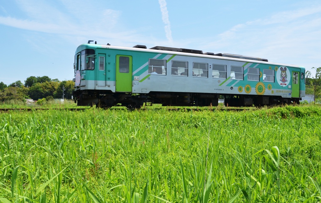 法華口駅でテレビのロケやってる、駅ついたらビックリするやろなぁ