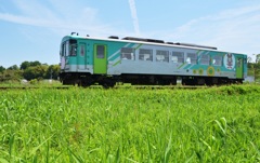 法華口駅でテレビのロケやってる、駅ついたらビックリするやろなぁ