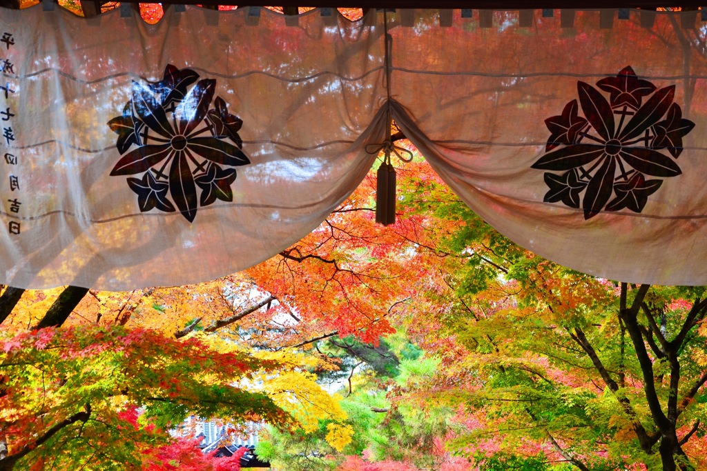 嵯峨野