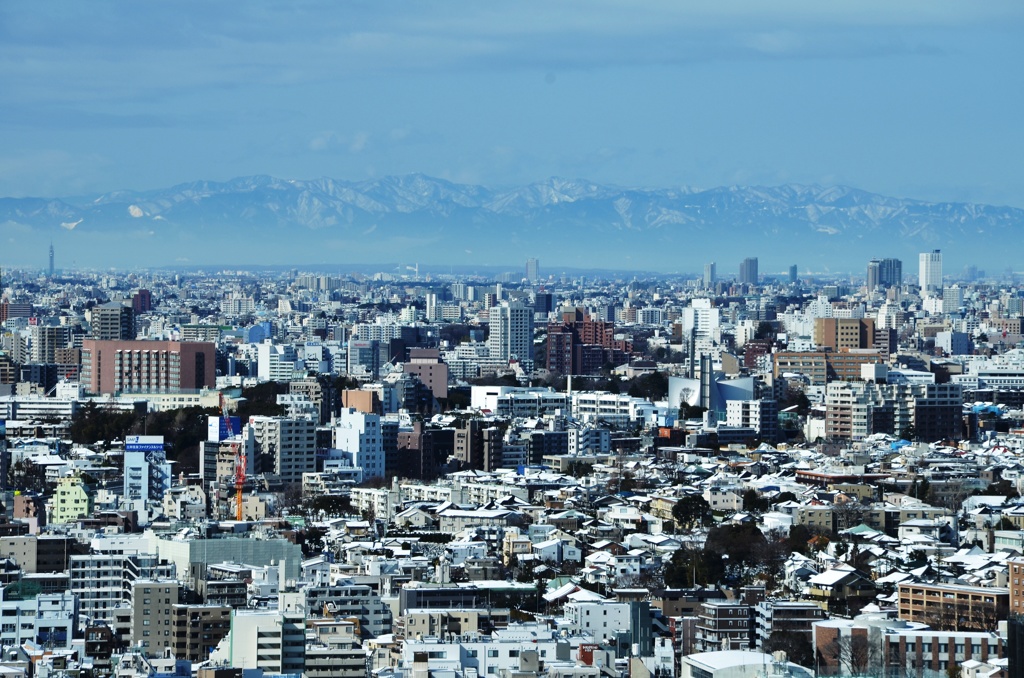 今年一番の冬景色