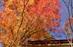 東福寺から東へ