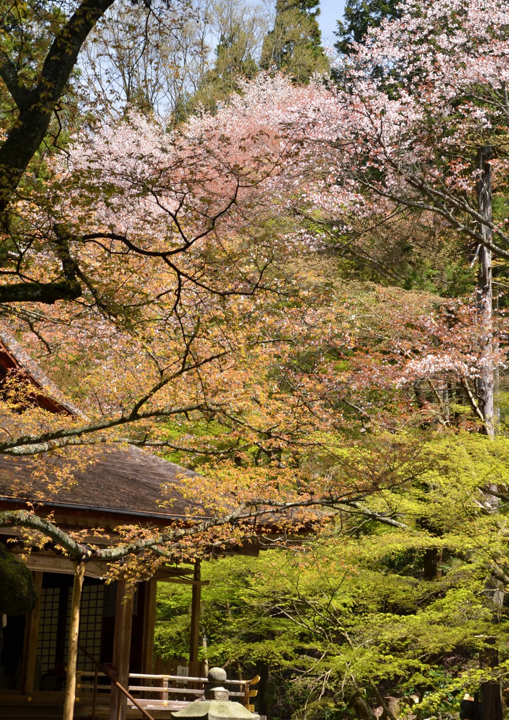 三千院