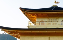 雅