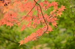 秋近し