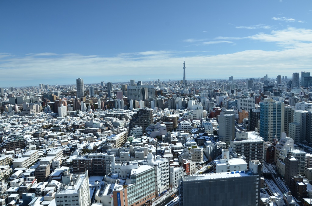 シビックセンターより