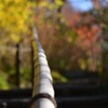 鎌倉   坂道の先には紅葉に囲まれた寺院がありました