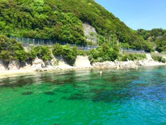 淡路東浦 緑光の海