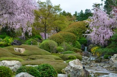 竜安寺の奥に進めば、素晴らしい庭園があり...