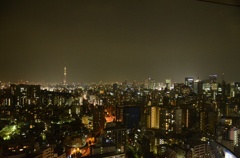 近所の高い建物から夜景を