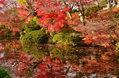 紅葉水面撮り   構図が難しいですねー