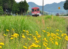 北条鉄道  もうすぐ終着駅です