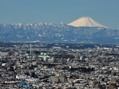 富士山