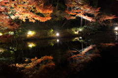 東山公園(1) 奥池