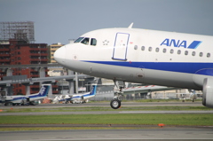 ITAMI　fly