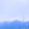 fog_2*