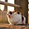 あと5分...