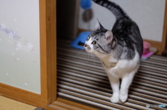 どうしたの？