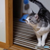 どうしたの？