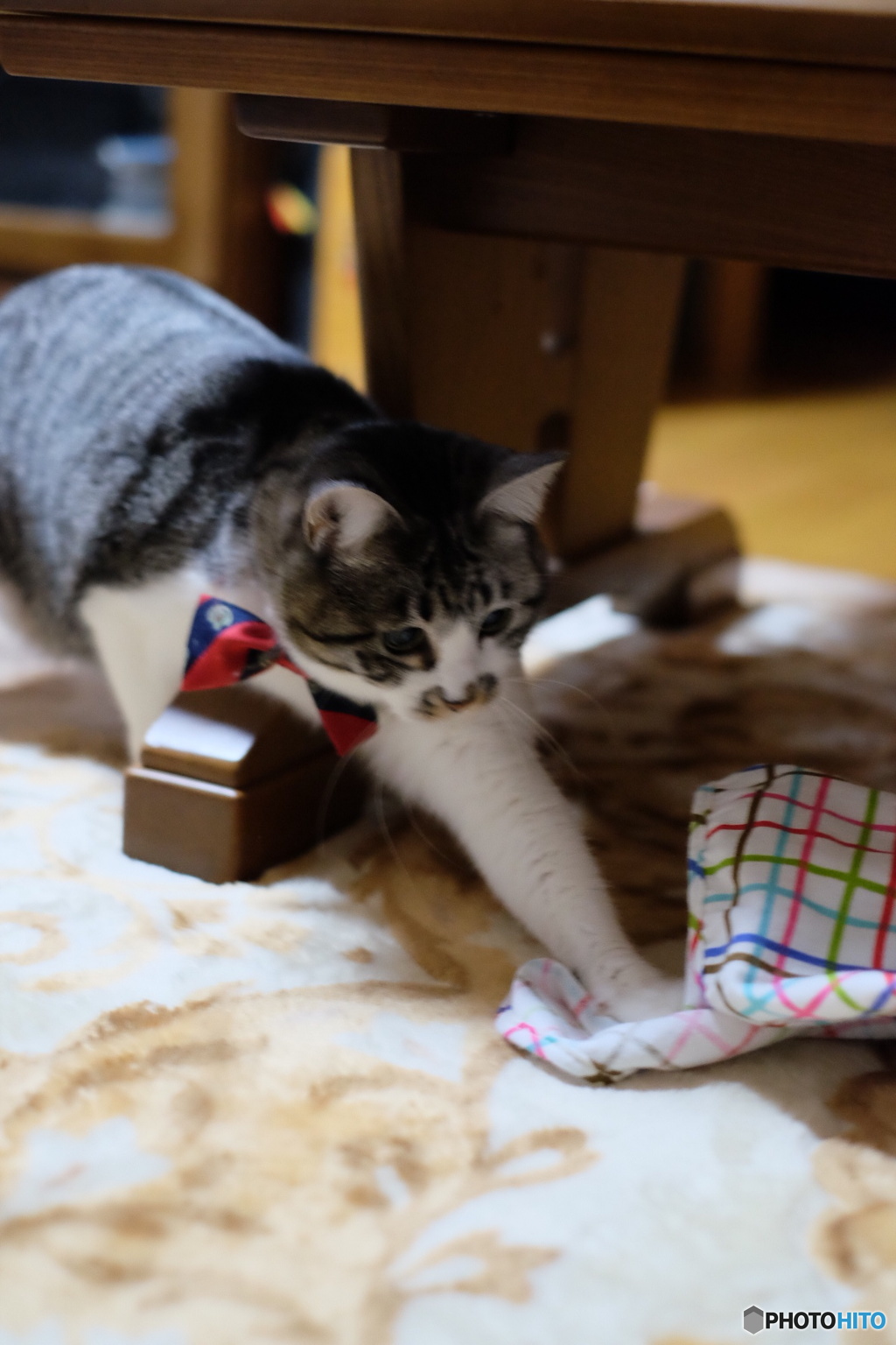 つかまえたっ！