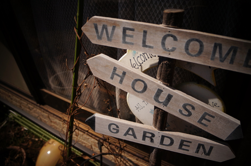 welcome to my house  garden!