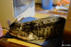 とある冬の日