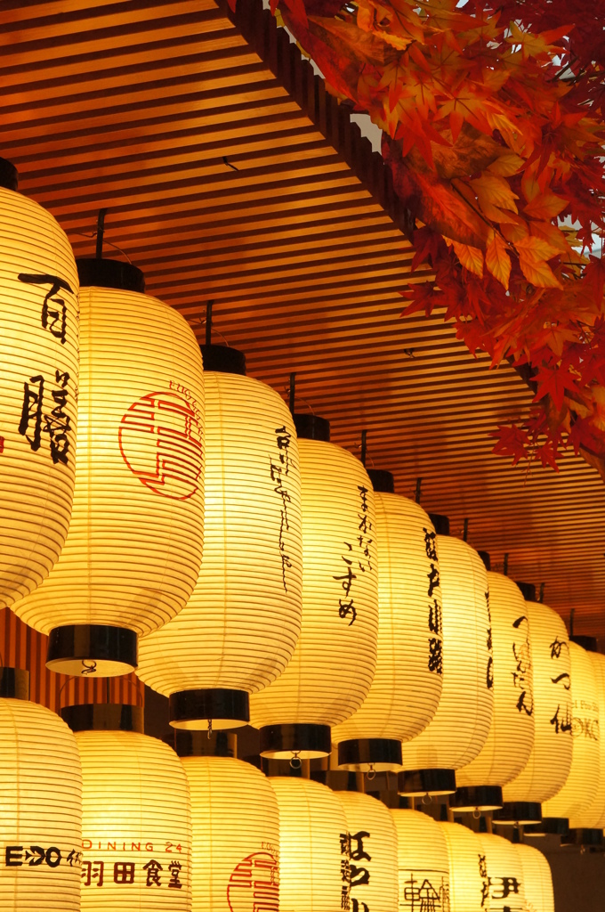 提灯と紅葉