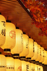 提灯と紅葉