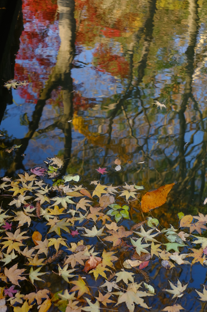 映されて、流されて…