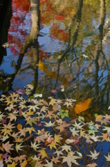 映されて、流されて…