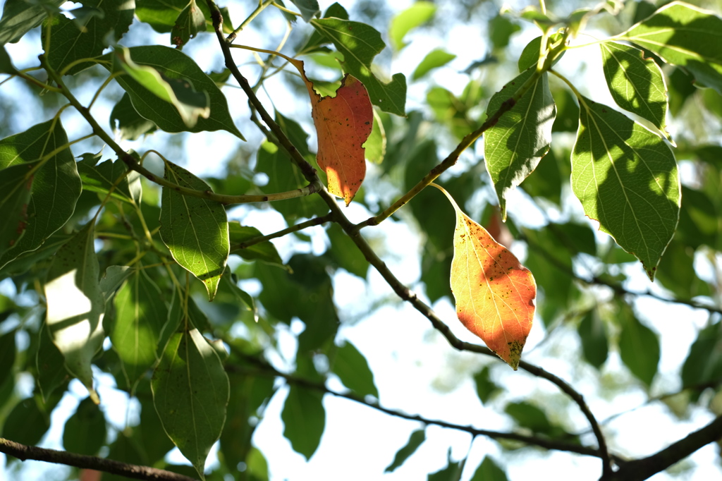 公園にて5