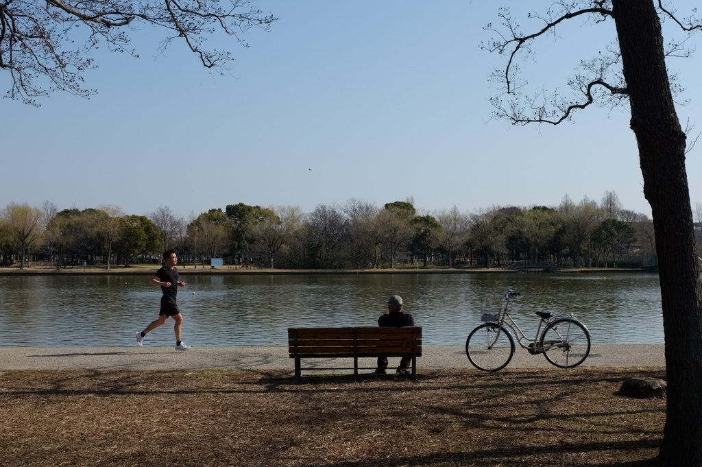 a sunday morning in the park.