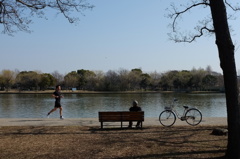 a sunday morning in the park.