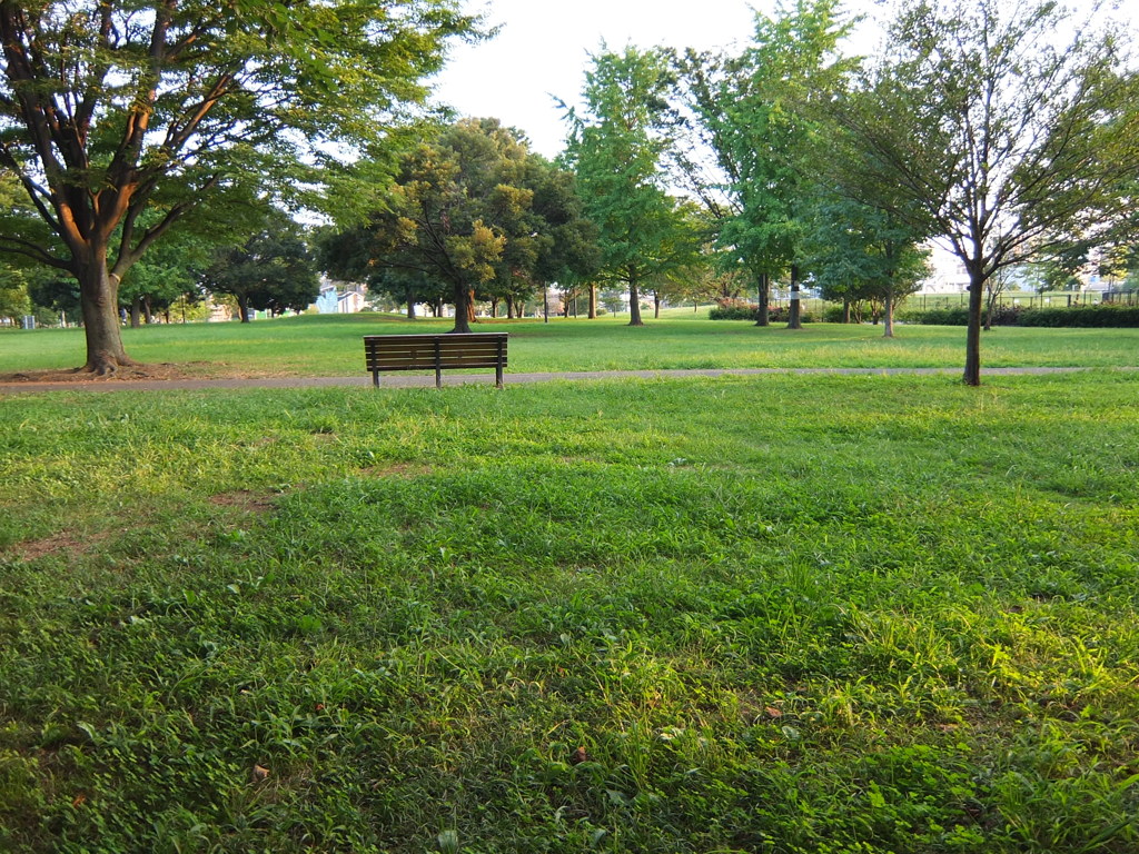 夕刻の公園1