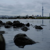 河岸より