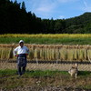 お婆ちゃんと老犬