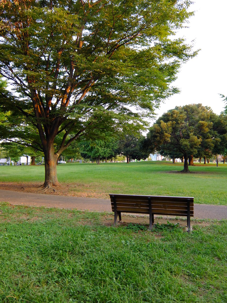 夕刻の公園2