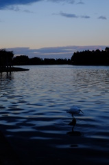 湖畔の夕景その２