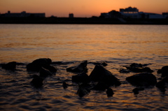 河岸の夕景