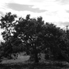 EPSN0992