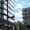 DSCF9015
