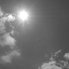 DSCF90017