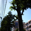 EPSN0359