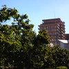 EPSN0309