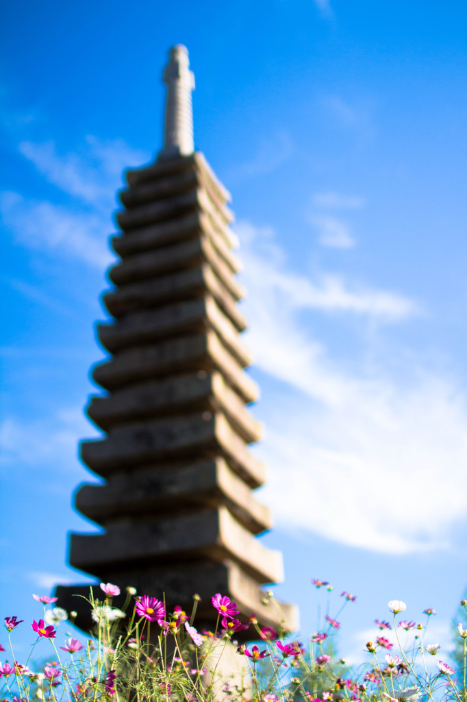 般若寺の秋