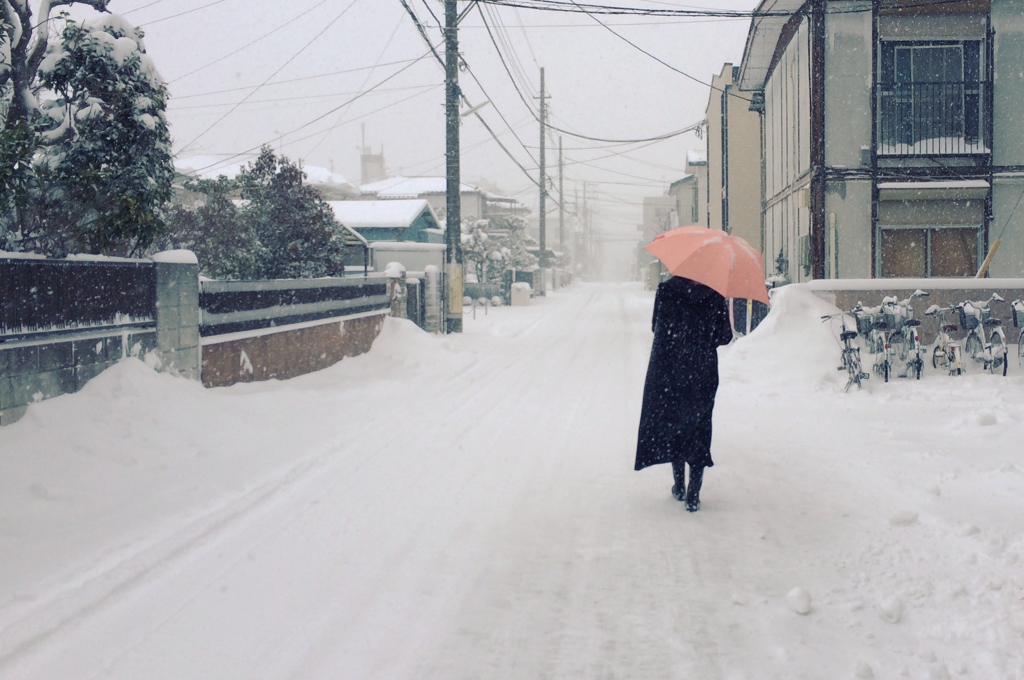 雪景色