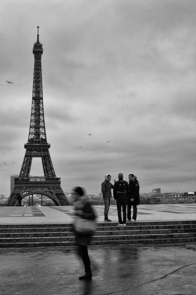 Paris, France 2013.