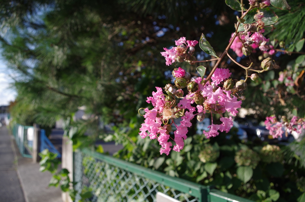 小学校の